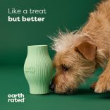EARTH RATED Treat Toy (S)