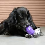 ZEE.DOG Superveggies Padlizsán