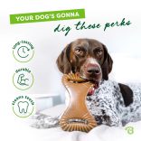 BeneBone Dental rágó bacon (L)