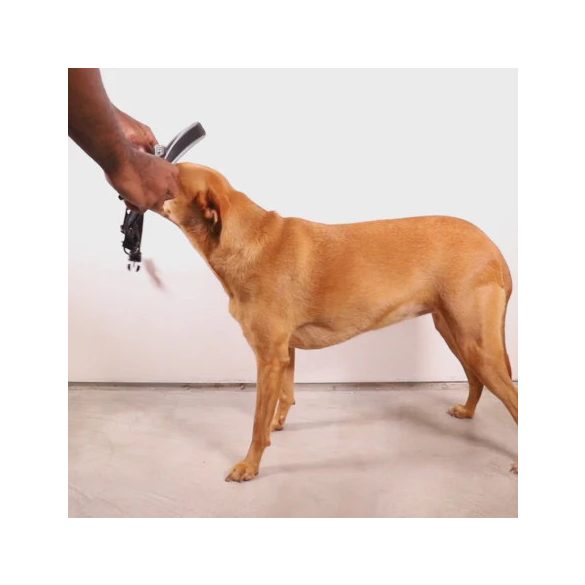 ZEE.DOG Lords Of Zeetown Melted Softer Walk (L)