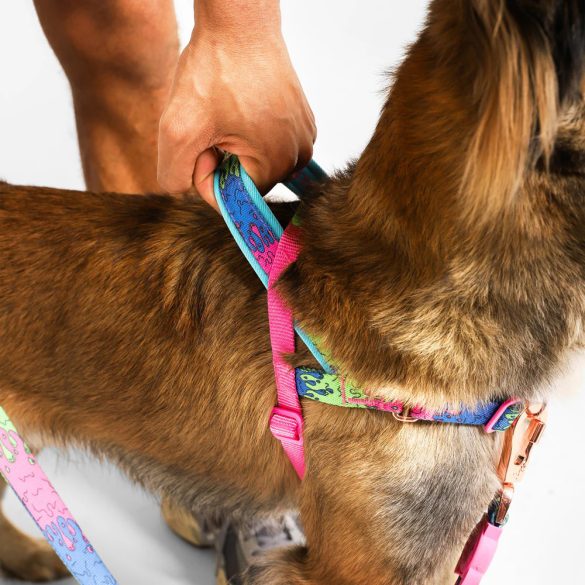 ZEE.DOG Lords Of Zeetown Melted Softer Walk (L)