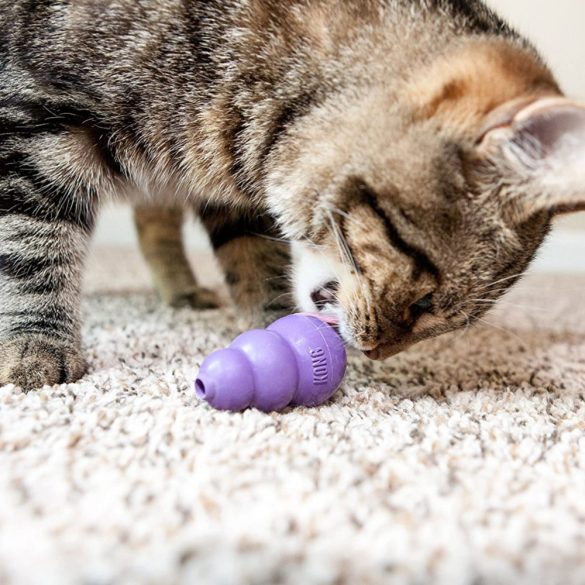 KONG Cat Kitty Kong