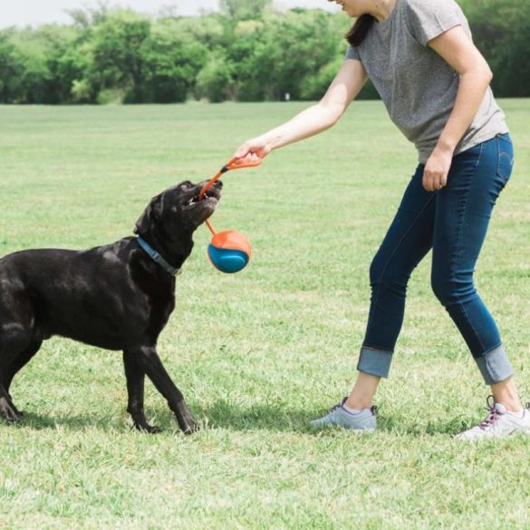 CHUCKIT Rope Fetch Labda (S)