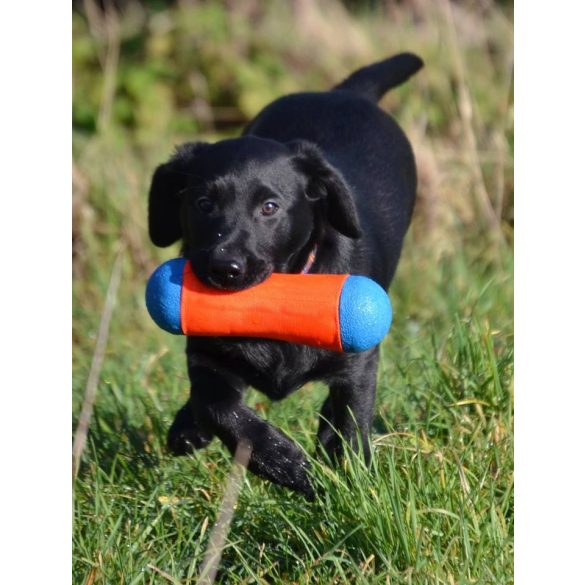 CHUCKIT Tumble Bumper (M)