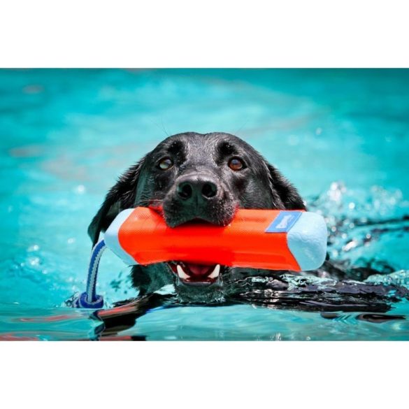 CHUCKIT Amphibious Bumper (M)