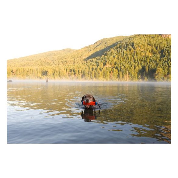 CHUCKIT Amphibious Bumper (S)