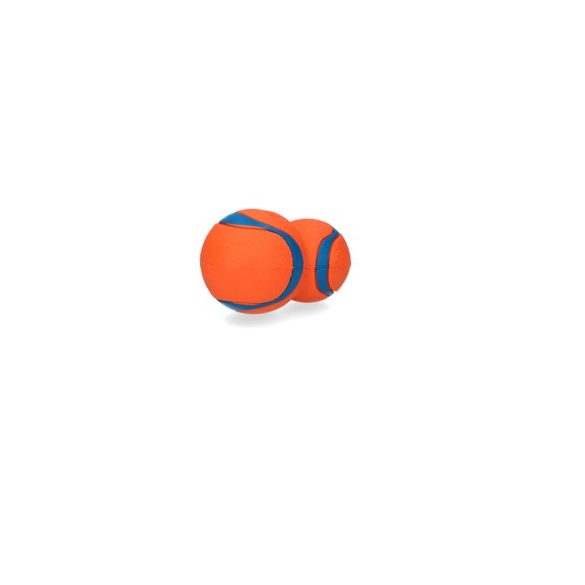 CHUCKIT Ultra Tumbler