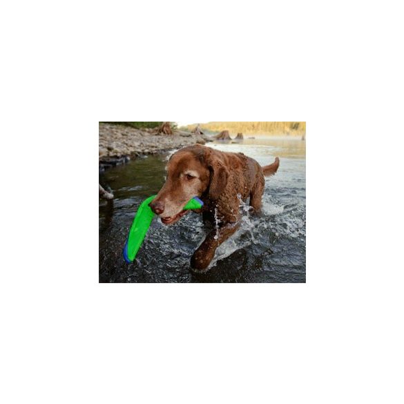 CHUCKIT Amphibious Boomerang (M)