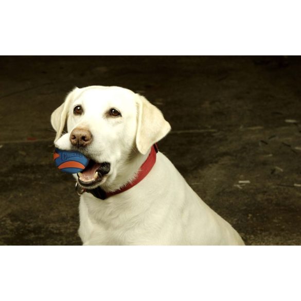 CHUCKIT Ultra Squeaker Sípolós Labda (M)