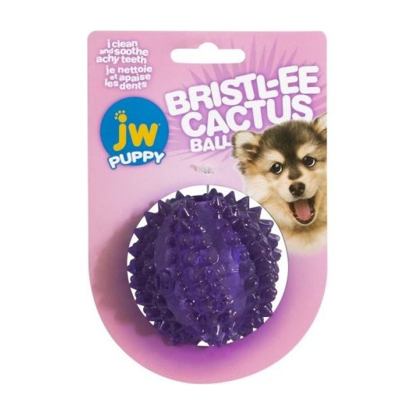 JW Puppy Bristly Kaktusz Labda