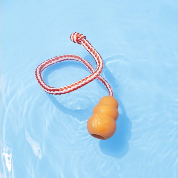 KONG Aqua Harang (L)