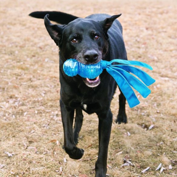 KONG Wubba Comet (S)