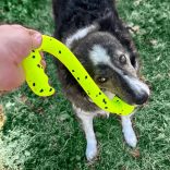 KONG Reflex Tug'n Fetch
