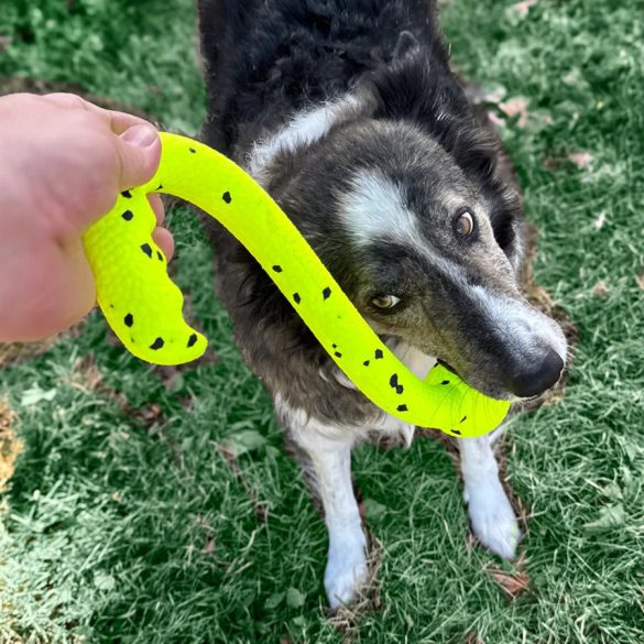 KONG Reflex Tug'n Fetch