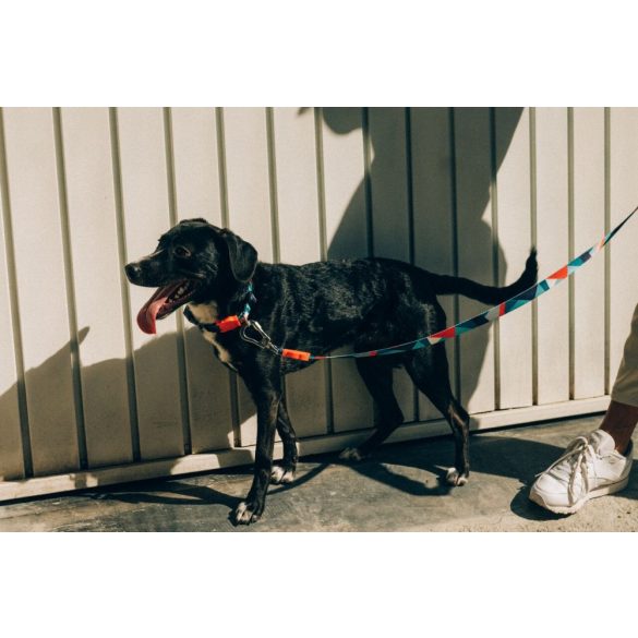 ZEE.DOG Ella Póráz (L)