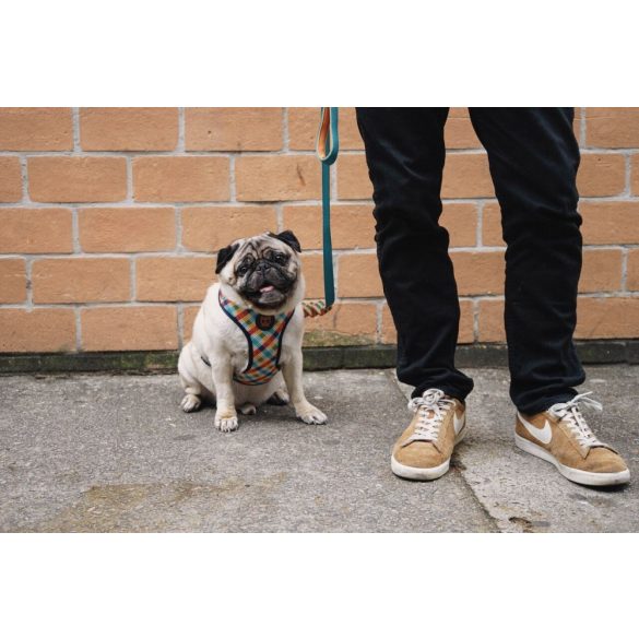 ZEE.DOG Phantom Air Mesh Hám (L)