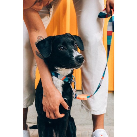 ZEE.DOG Ella Nyakörv (XS)