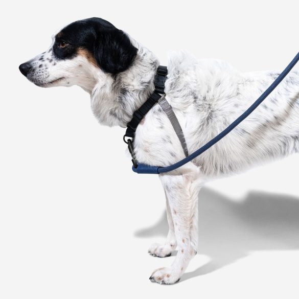 ZEE.DOG Soft Walk Hám Gotham (L)